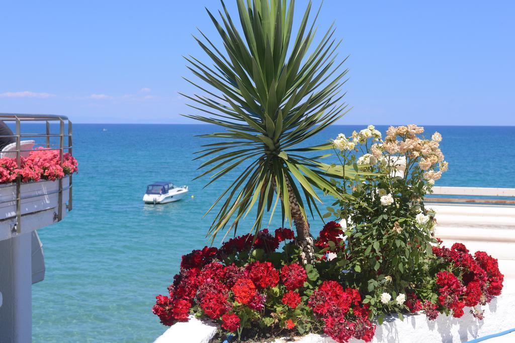 Olympos Beach Plaka Litochorou Exterior foto