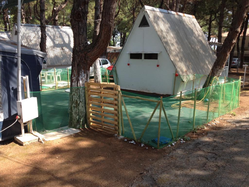 Olympos Beach Plaka Litochorou Exterior foto