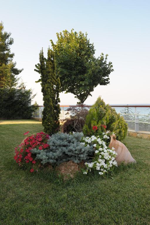 Olympos Beach Plaka Litochorou Exterior foto