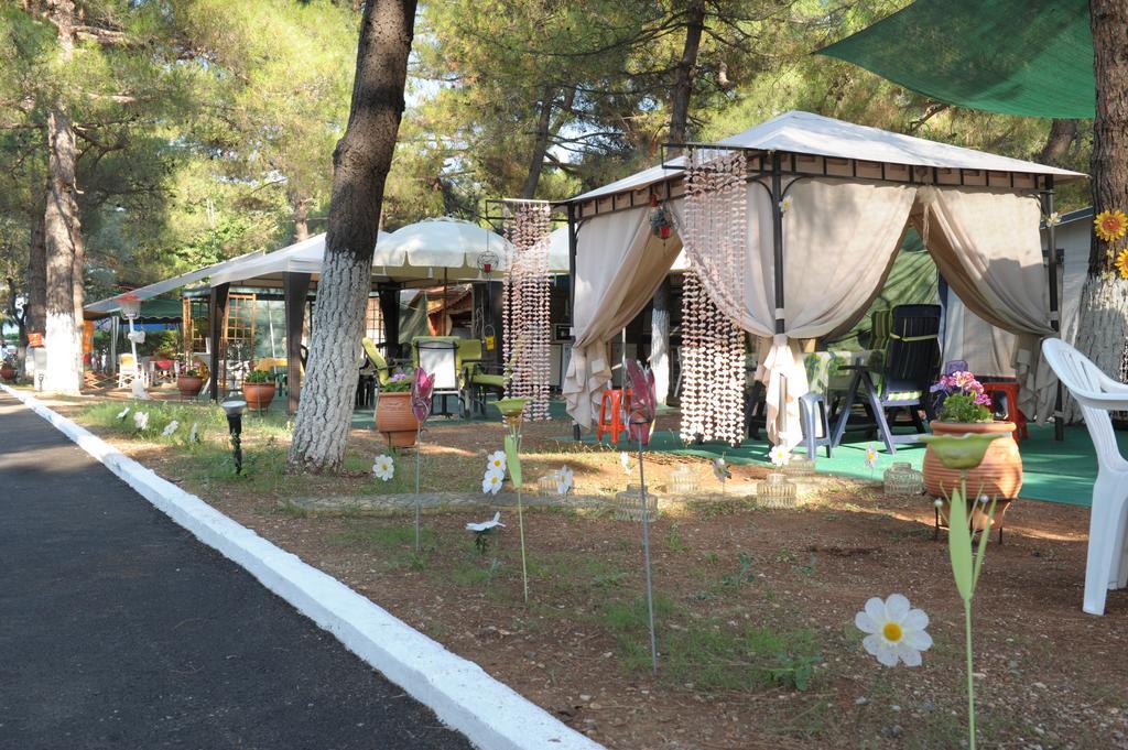 Olympos Beach Plaka Litochorou Exterior foto
